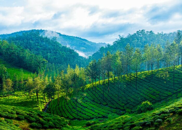 Kerala Tour Package