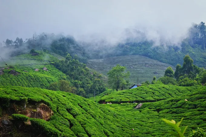 Darjeeling Pelling Tour from Delhi