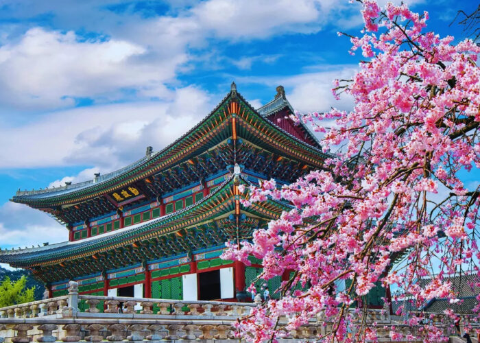 korea tour packages