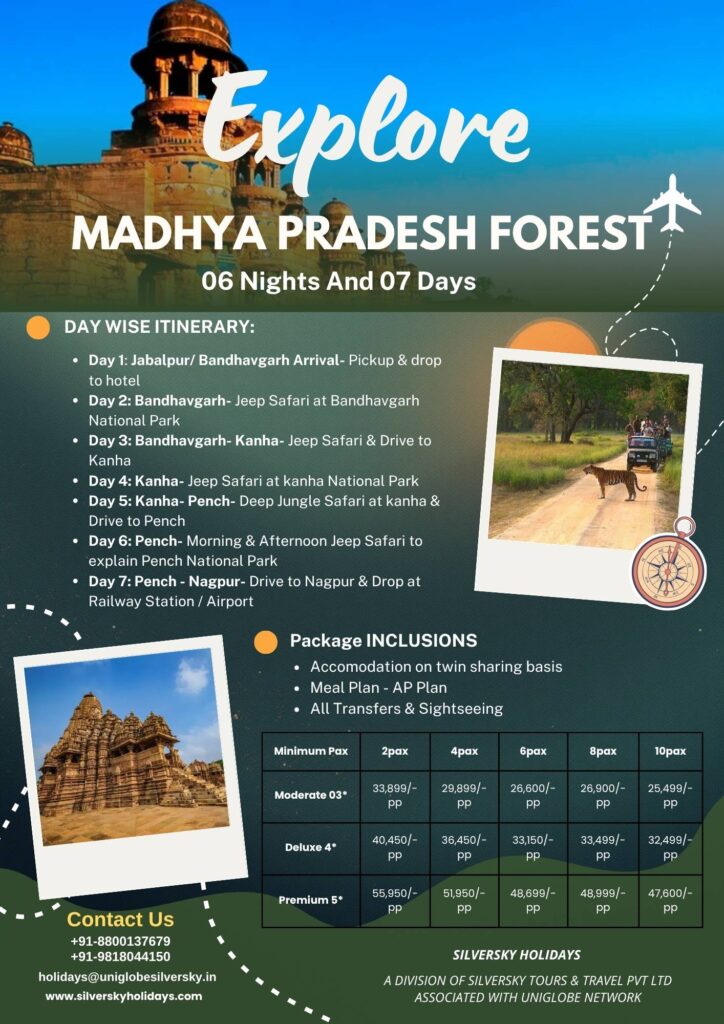 Kanha & Pench, Madhya Pradesh