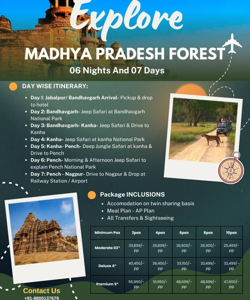 Kanha & Pench, Madhya Pradesh