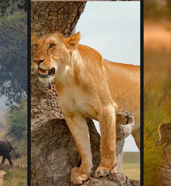 Top National Parks to Visit in 2026