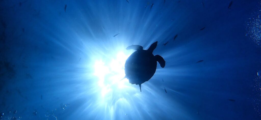 Glass bottom boat ride in Andaman Islands for families