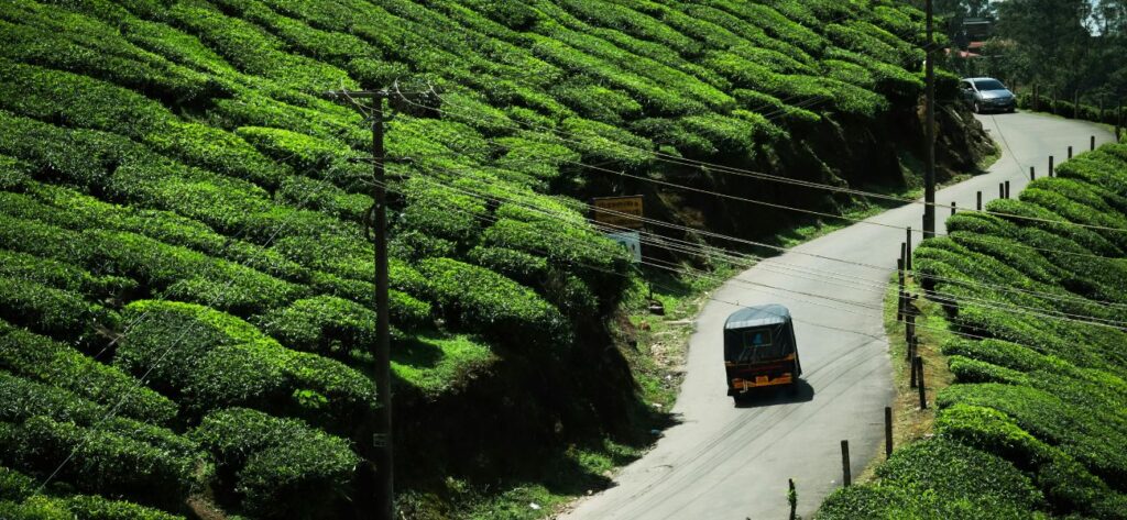 Munnar Kerala Roads